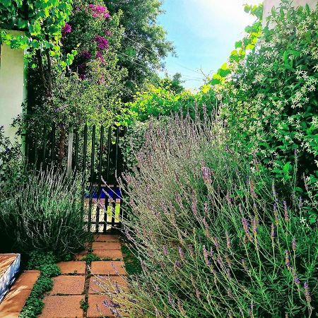 Sunny Lane Apartment Franschhoek Exterior photo