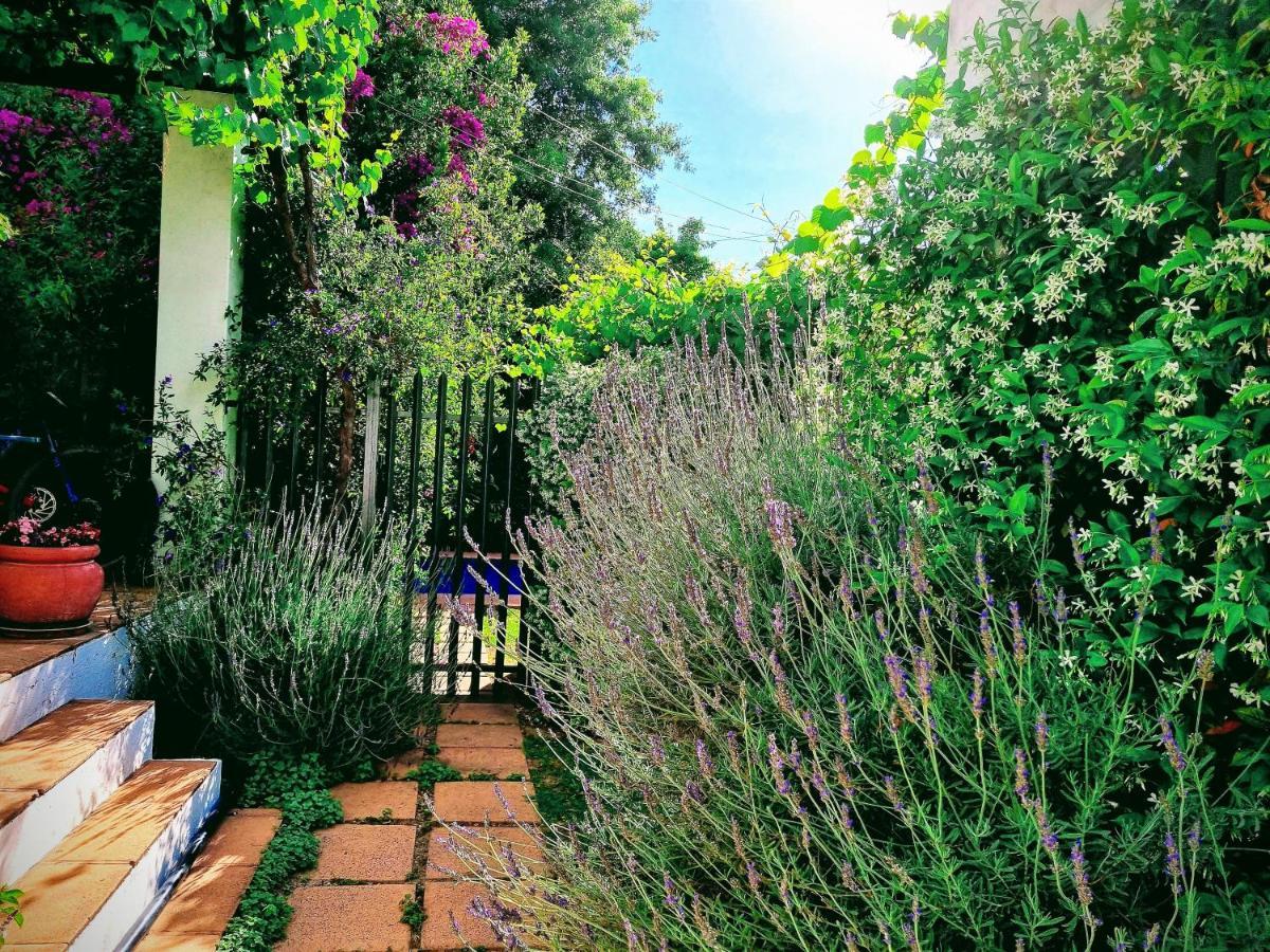 Sunny Lane Apartment Franschhoek Exterior photo